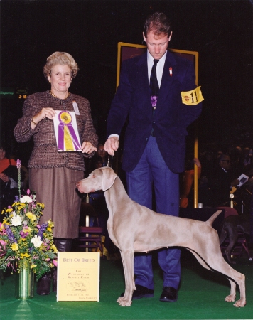 Westminster Kennel Club 1995