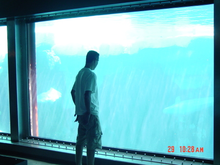 Me at the Aquarium of the pacific