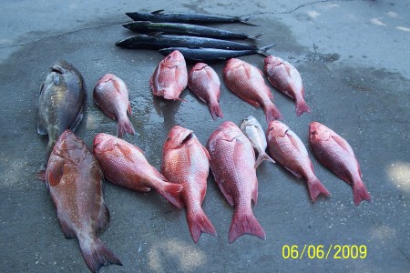 Fishing 2009