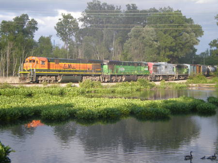 Some of our Locomotives