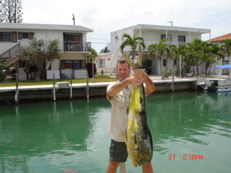 Dolphin fishing in the Keys!