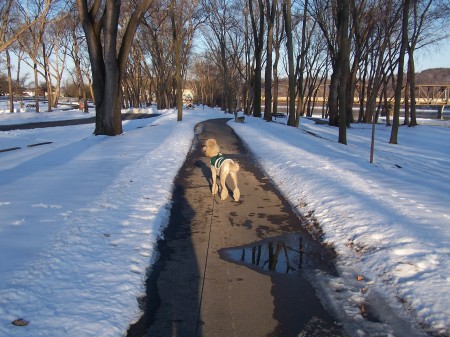 Walking with Sadie at the marina