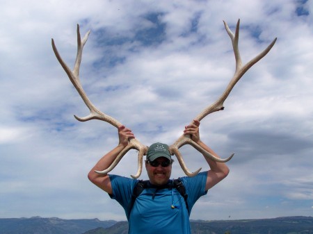 Elk Antlers