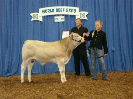 World Beef Expo Grand Champion Bull