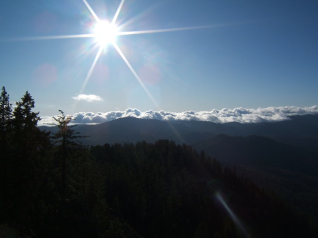 Wawona Point- Yosemite