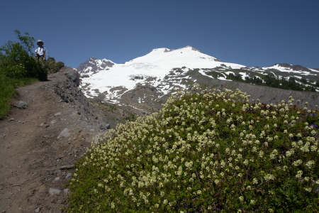 Mt. Baker