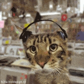 Me at Tower Records, 1977