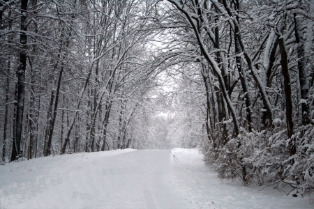 Aullwood Road in the snow