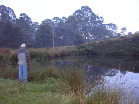 Pond on the property of our B&B