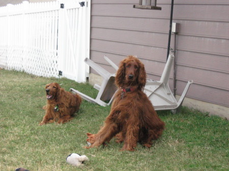 Teddy Bear and Murphy