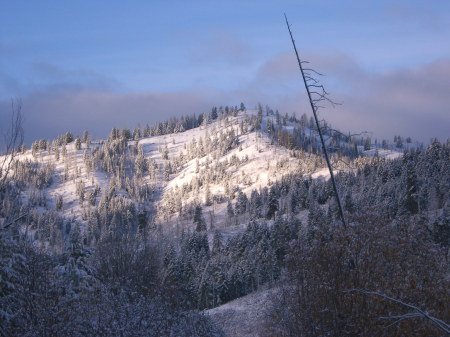 Idaho