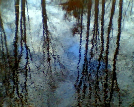 Sky & Trees reflected in Salmon Brook Stream