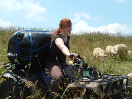 Daughter Helen delivering water to the flock!