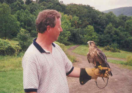 Falconry at The Homestead  Sept 2001