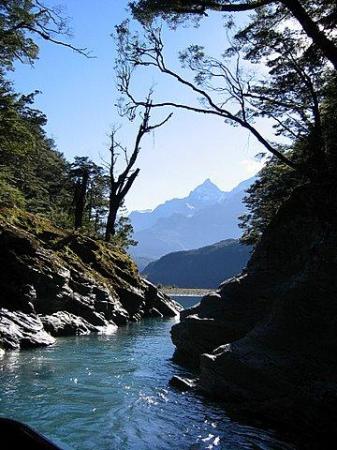 New Zealand 2005 - Dart River