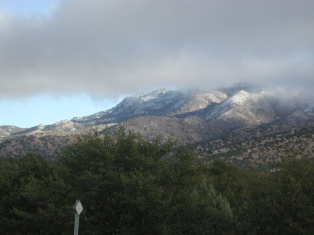 Davis Mts.