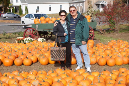 New England pumpkins