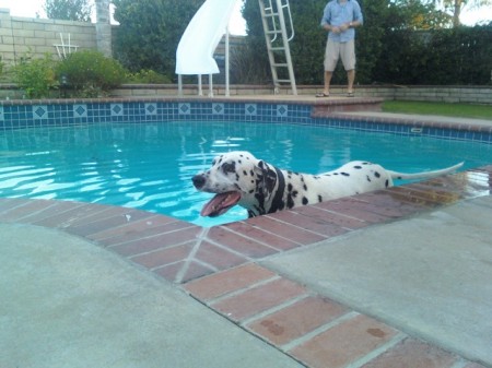 justin cooling down