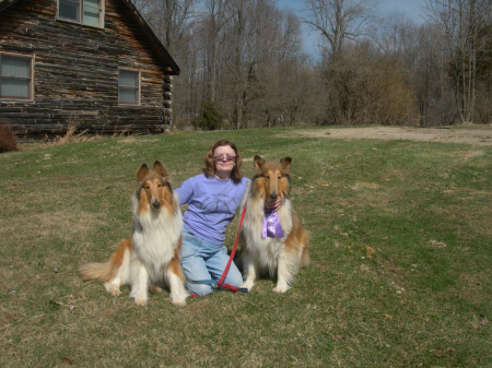 My Current Collies