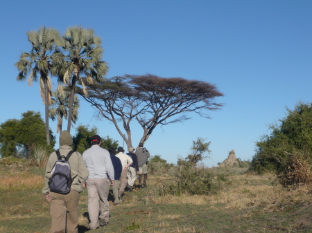 Hiking in Botswana--best trip ever