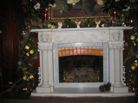 new fire place