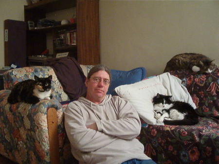 me and the kitties