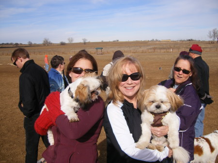 Bandit at the Dog Park