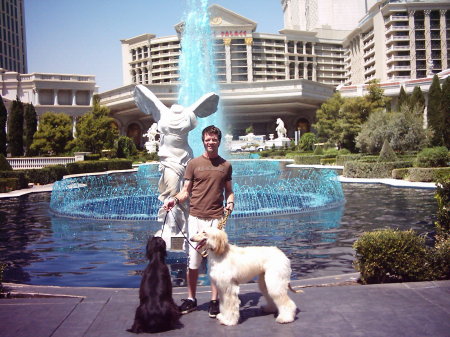 Me and the dogs in Vegas BABY!!!!