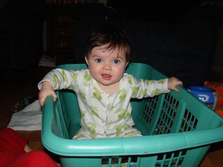 Ragan in Laundry basket