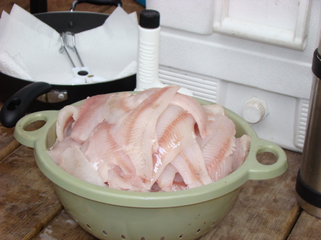 One meal of fish at spring walleye trip