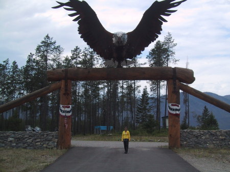 Pauley's eagle at Glacier