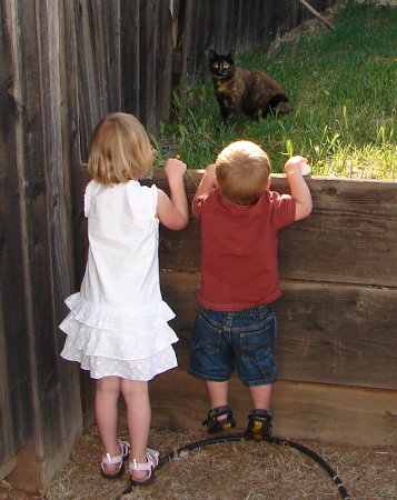 Grandkids, Cameron Park, CA (2008)