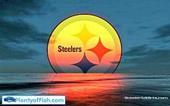 STEELERS