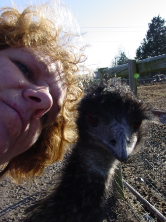my Emu and I