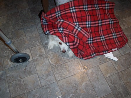 Snoopy & her blanket