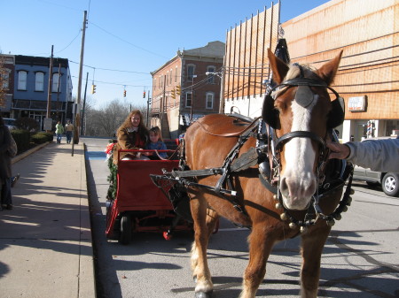 Sleigh ride