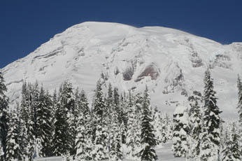 Mt. Rainier in January