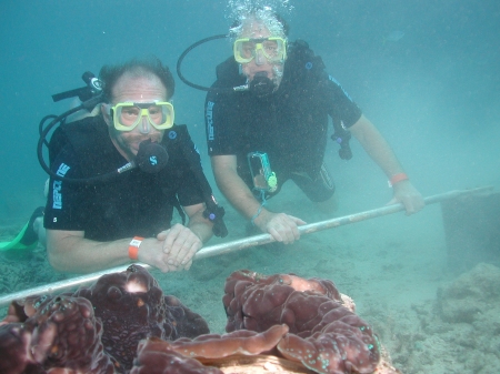 Scuba at the reef