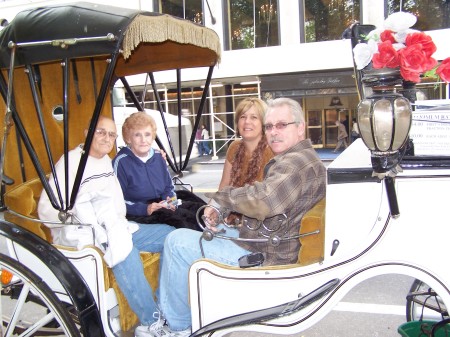 NY Nov 2008 Carriage Ride in Central Park