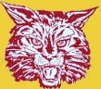 Ellerbe Junior High School Logo Photo Album