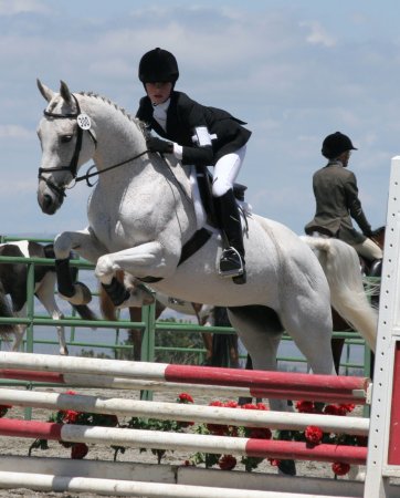 Sierra jumping Lacey in Woodside, 2006