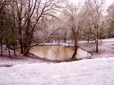 Our pond last winter