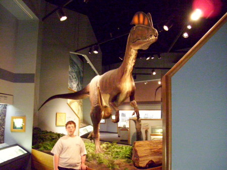 Dino exhibit