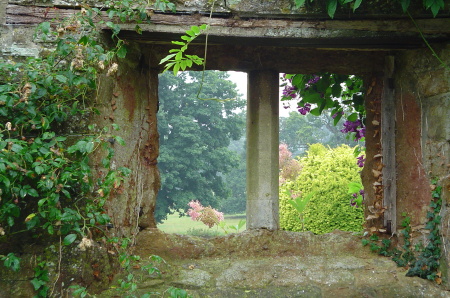 Window in the walled garden