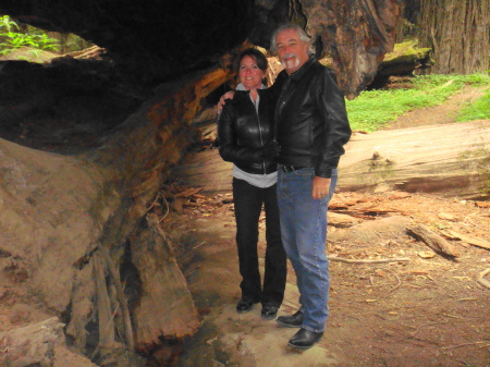 Me and Rick in the Redwoods