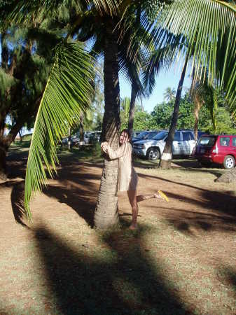 tree hugging on Kauai
