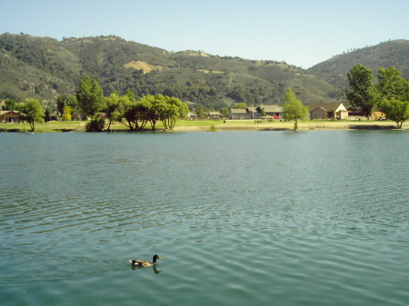 4 Island Lake