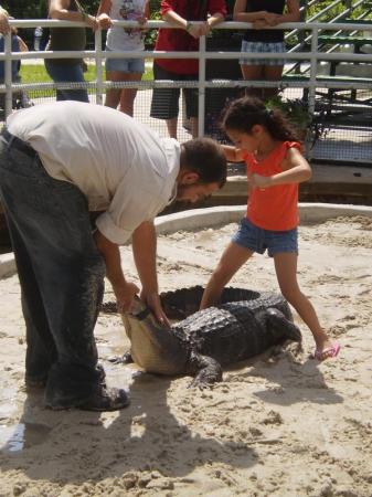 Gatorland