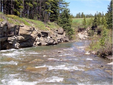 Beautiful flowing stream.