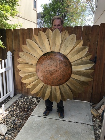 5 foot sunflower 